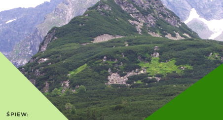 Archidiecezjalna Szkoła Muzyczna II stopnia im. ks. Kardynała Franciszka Macharskiego w Krakowie -