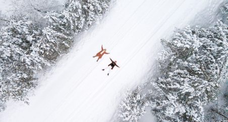 Archidiecezjalna Szkoła Muzyczna II stopnia im. ks. Kardynała Franciszka Macharskiego w Krakowie -